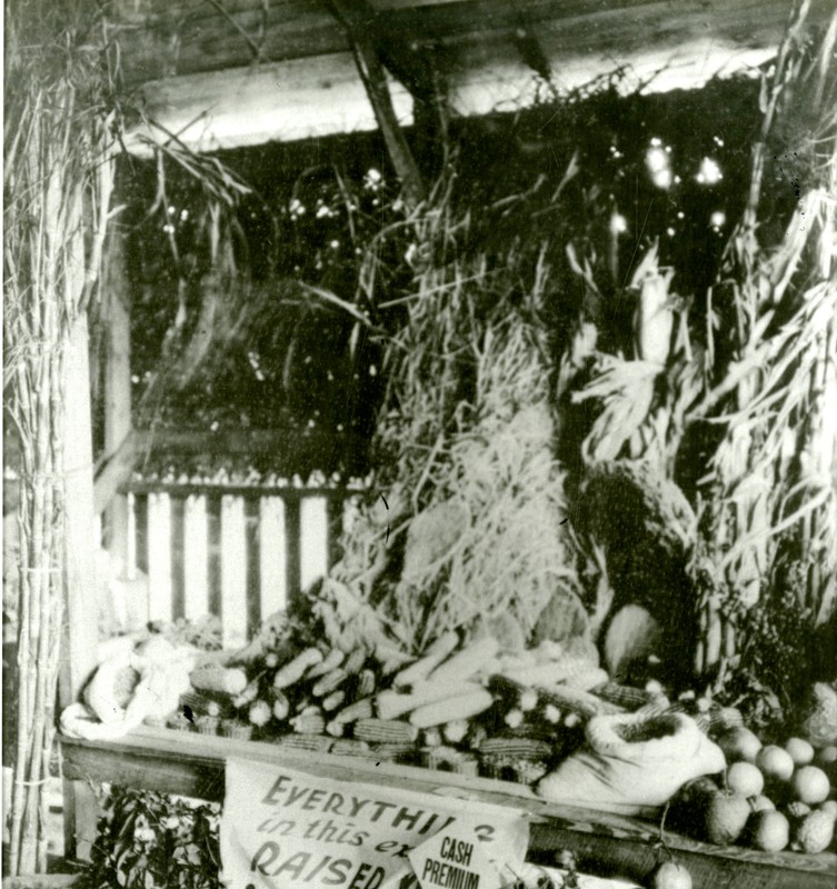 W.C. Reid exhibit at the Pinellas County Fair, Largo, Florida, circa 1920. 