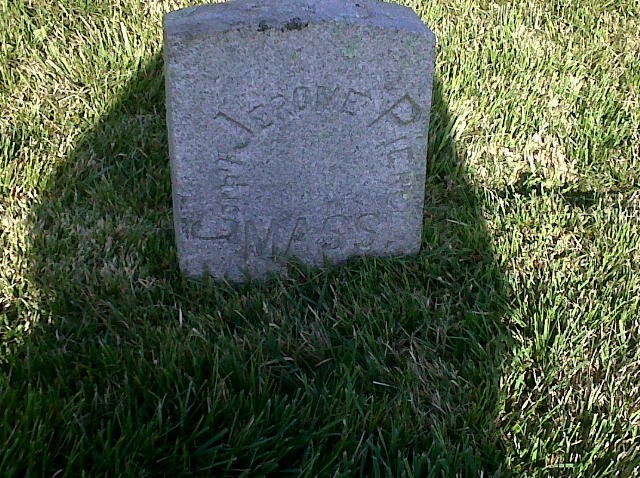 Plant, Cemetery, Grass, Grave