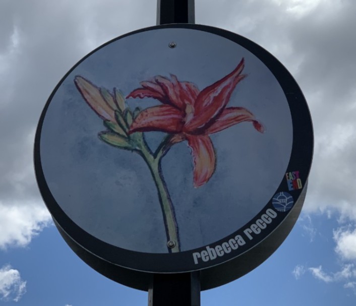 Cloud, Sky, Flower, Plant