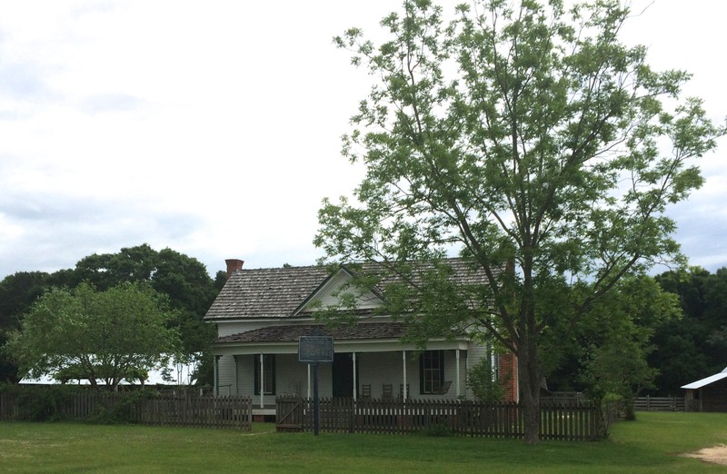 Plant, Property, Tree, House