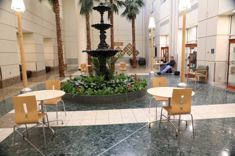 Palm Tree Lobby 