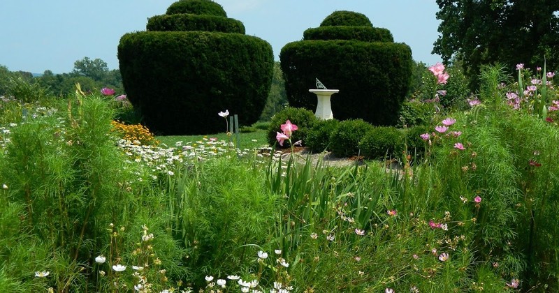 Our Colonial Revival Gardens in bloom. 