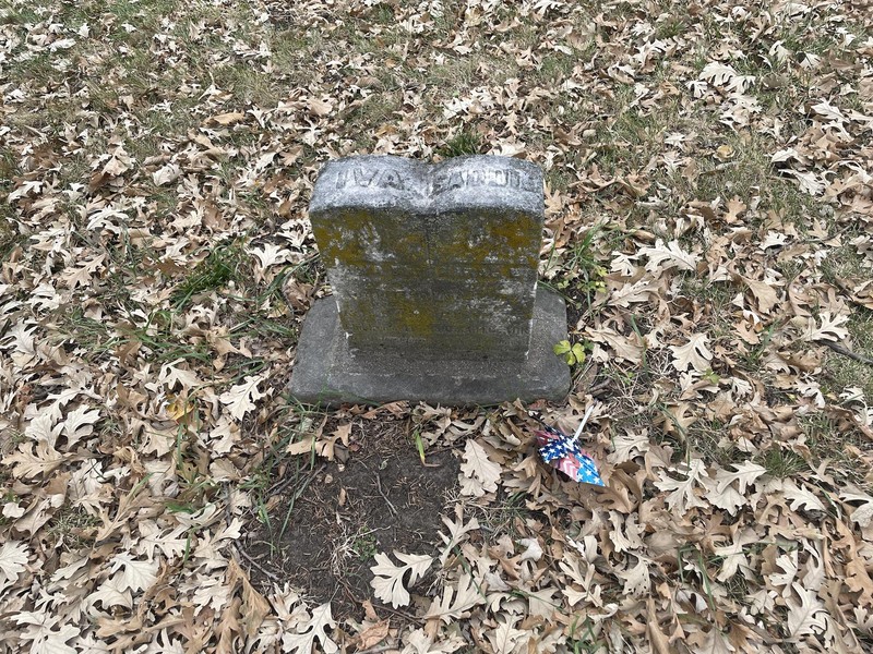 Grass, soil, leaves, tombstone, cemetery, pinwheel