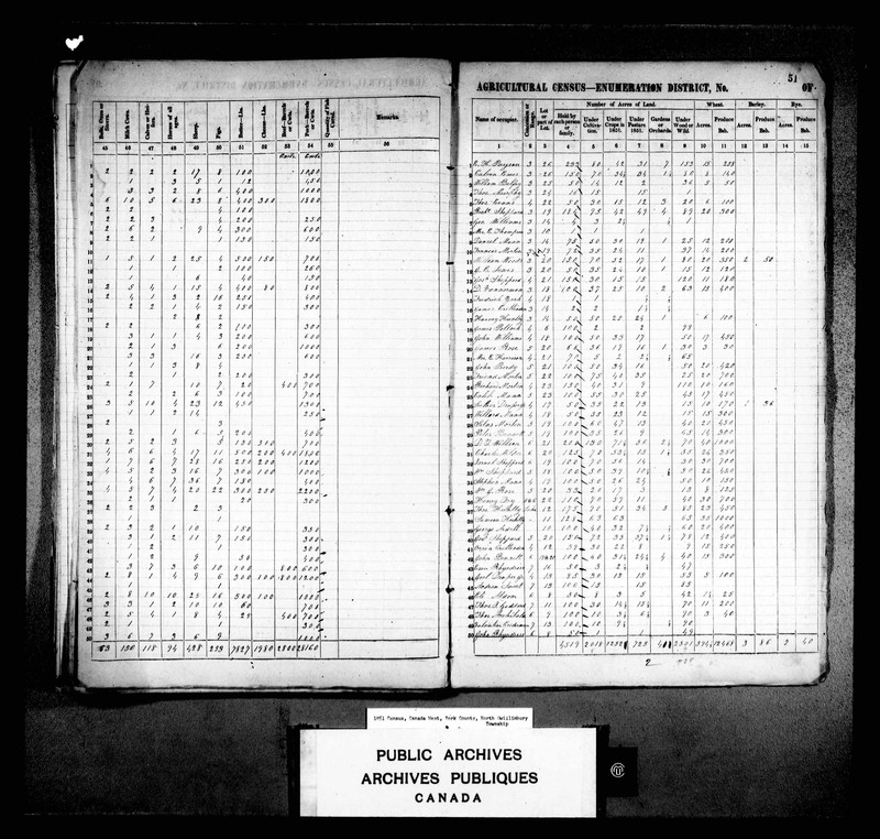 The Image from the Canadian Census released in 1851 proves Ethalinda Lewis was in fact living in the county of York (later renamed Toronto). 1851 was the same year Ethalinda joined the Toronto Anti-Slavery society, and the Ladies Association for the Relief of Destitute Coloured Fugitives. This provides a distinct location, in which Ethalinda, and the work she carried out, can be pinned on a map. 