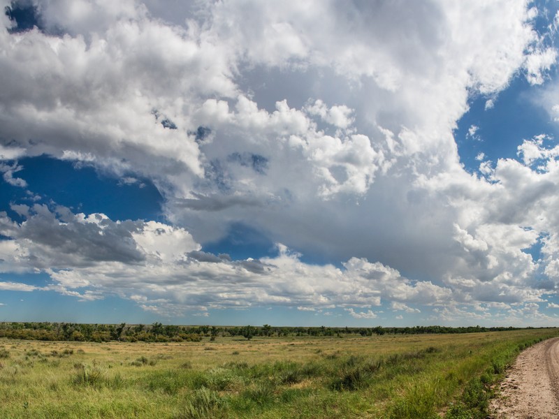 Cloud, Sky, Plant, Natural landscape