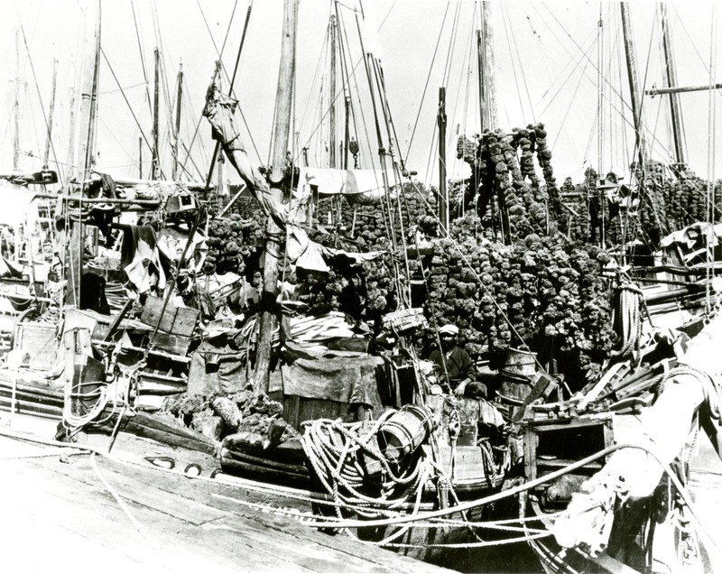 Docked sponge boats at Tarpon Springs, Florida, circa 1920. 