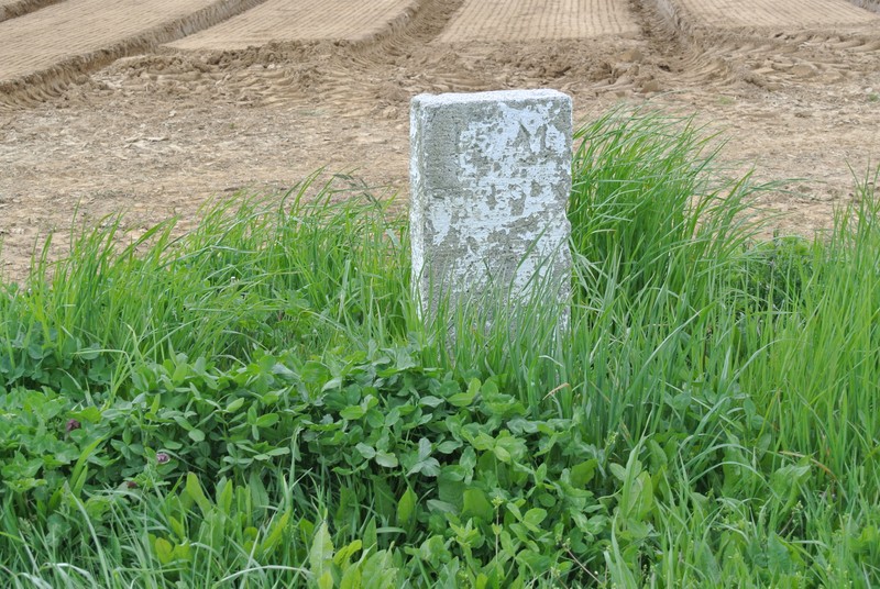 Southold Town Milestone #15