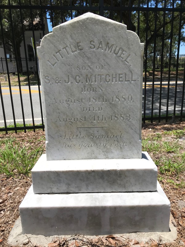 Little Samuel Mitchell (1880-1883)
