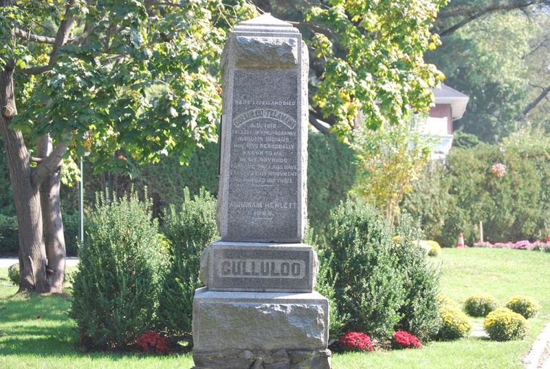 Plant, Leaf, Headstone, Tree