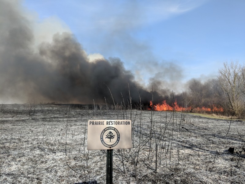 Prescribed burn at Buffalo Trace