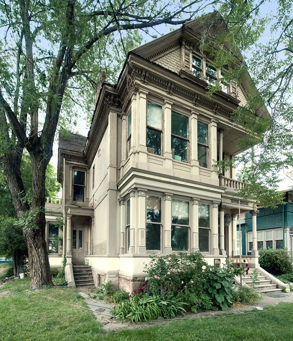 Plant, Building, Property, Window