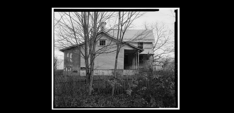 Building, Plant, Window, Tree