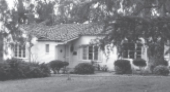 Building, Plant, Window, House