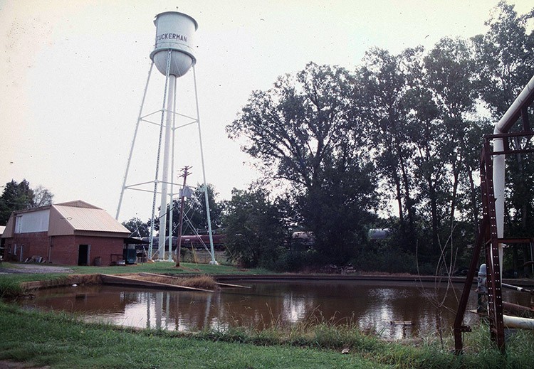 a colored photo of a tower over a pound behind a building.