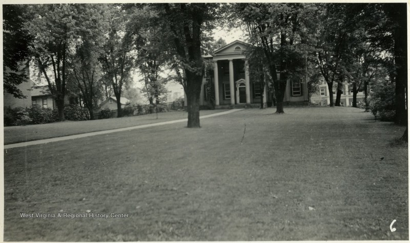 Plant, Building, Tree, Black-and-white