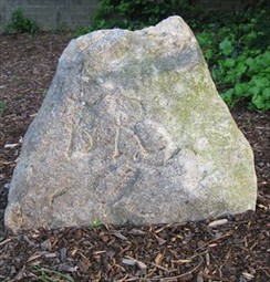 Nature, Grass, Green, Rock