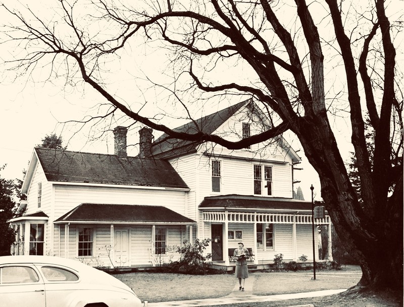 Branch, Window, Property, House