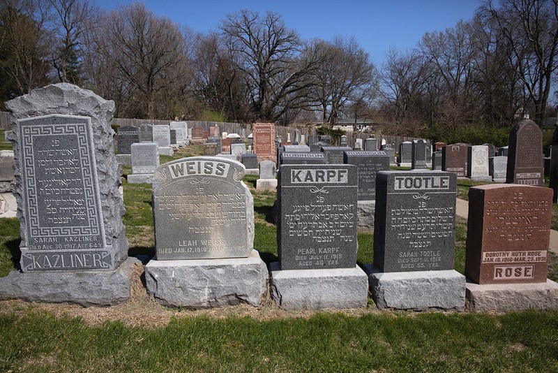 Sky, Plant, Cemetery, Tree