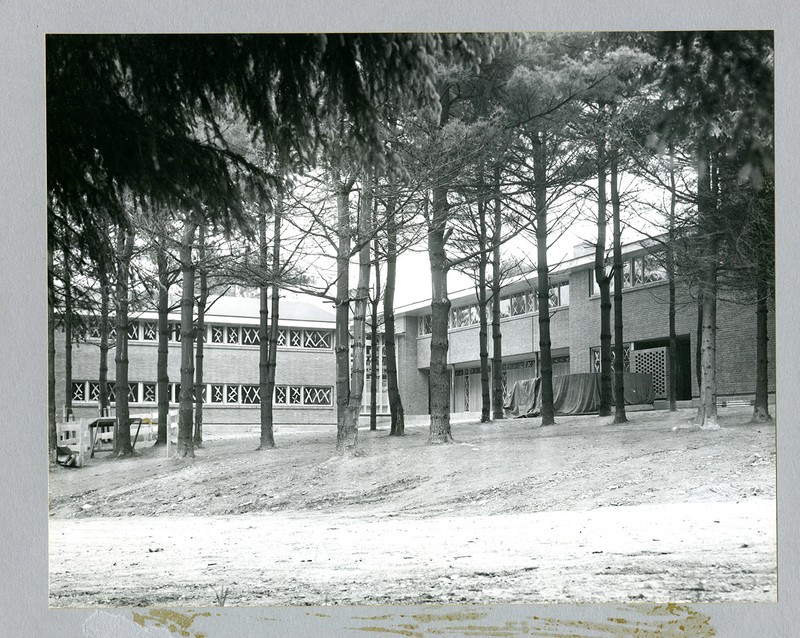 Tree, Building, Black-and-white, Rectangle