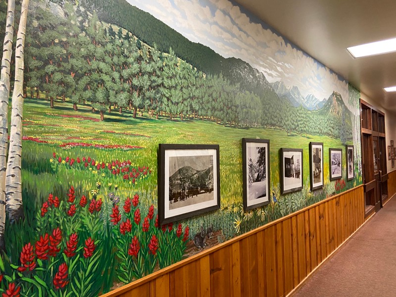 This image shows the left side of the long mural. A couple of Aspen trees grow at the far left edge surrounded by lots of red flowers in the meadow. Two small bunnies are in the foreground while several deer roam among the pine trees on the opposite side of the meadow. 