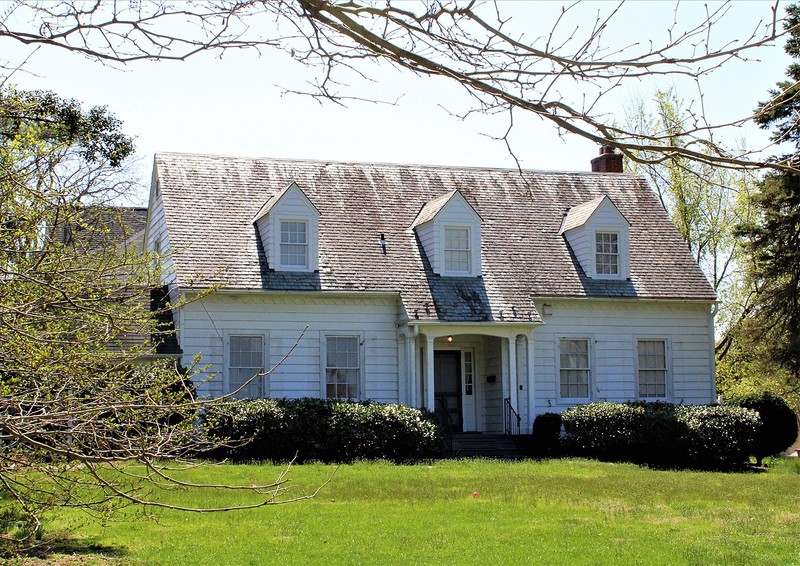 Plant, Building, Window, Property