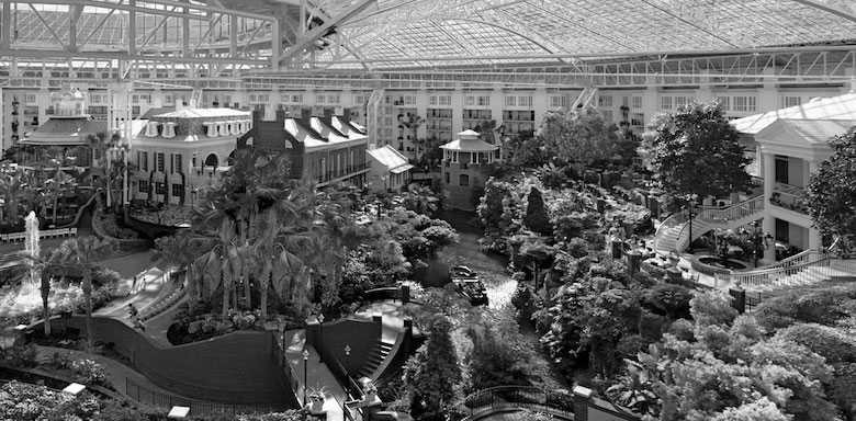 Building, Plant, Black, Tree