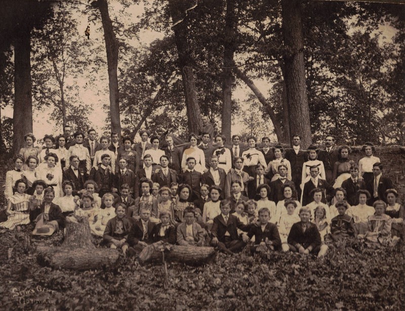 People in nature, Tree, Wood, Grass