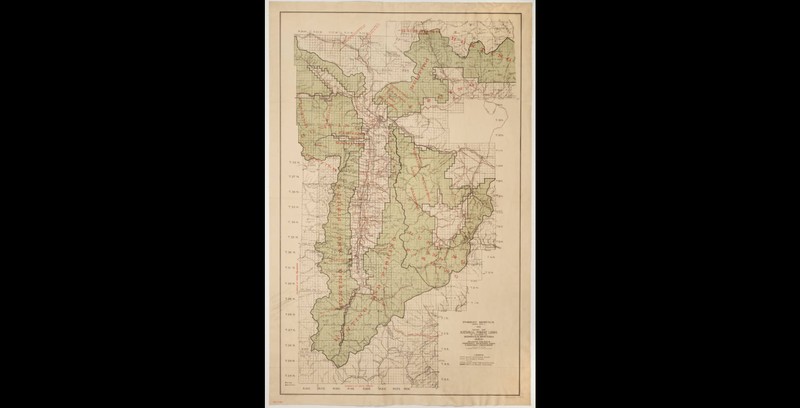 Map of the Bitterroot National Forest in 1912.