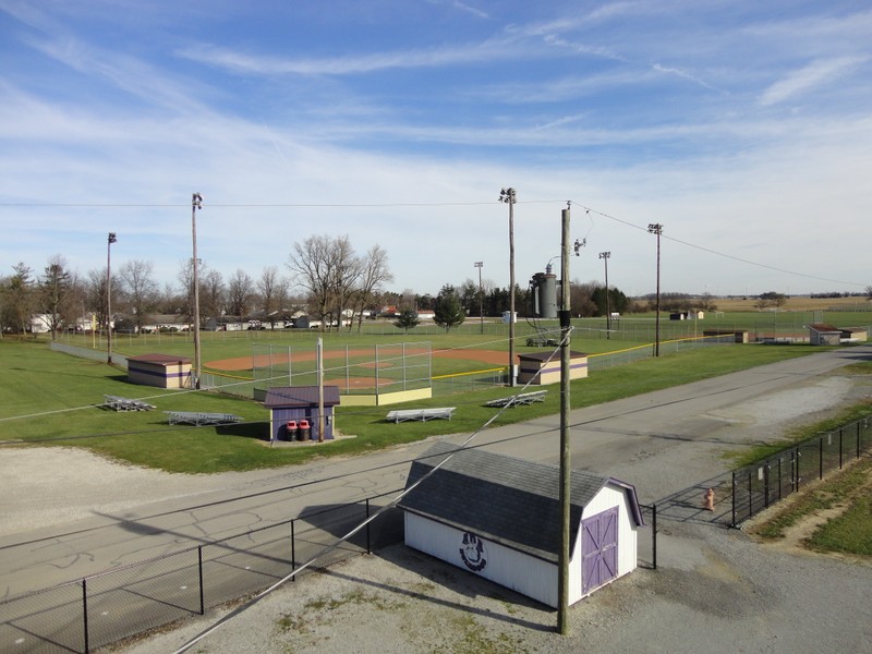 Sport venue, Land lot, Grass, Tree