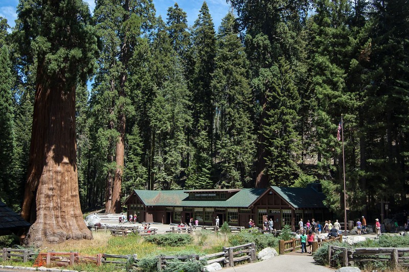 The Giant Forest Museum has exhibits about the history of Sequoia National Park.