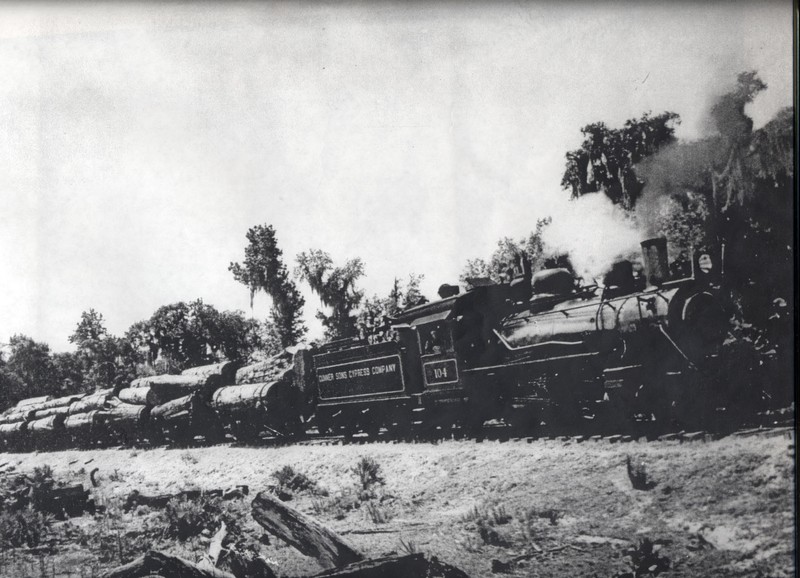 Cummer locomotive pulling load of cypress logs.