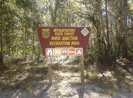 Withaloochee State Forest