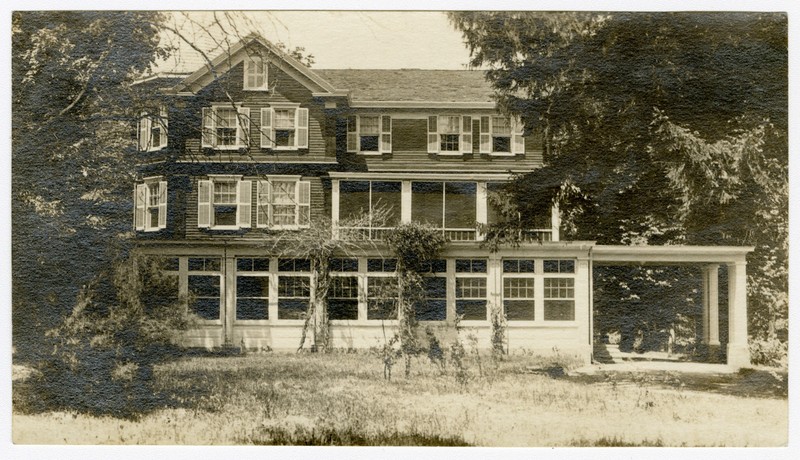 Plant, Window, Building, Tree