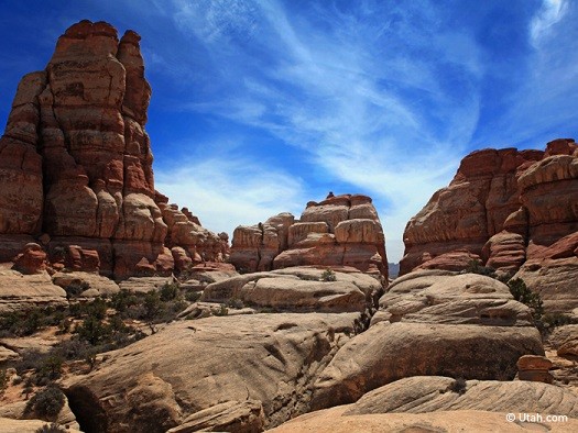 Needles District