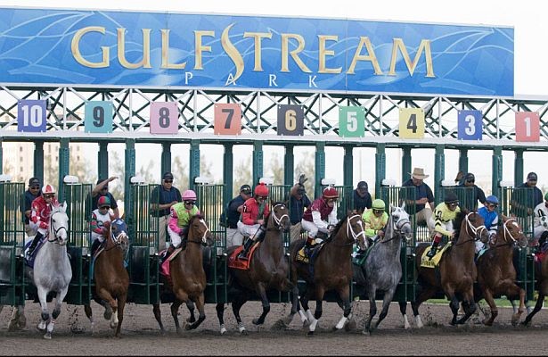 Starting Gate