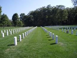 Photo of a small section of the gravesites. 