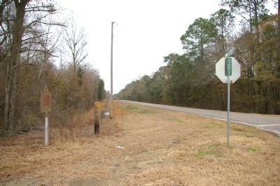 Looking East on Clear Lake Road Toward the Swamp