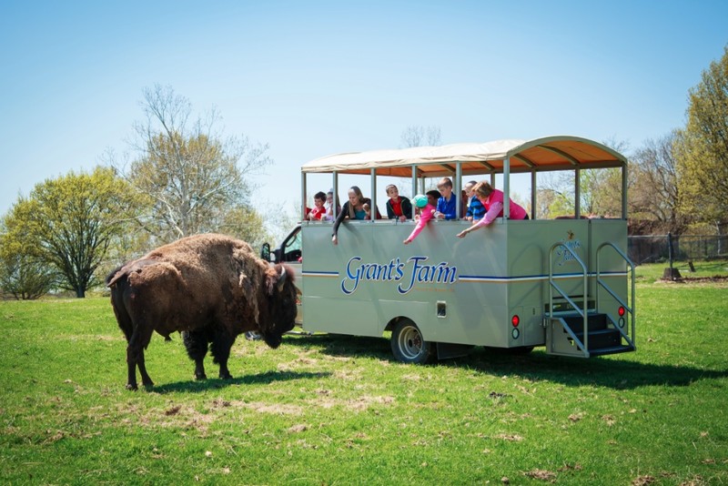 Picture of the farm tour 