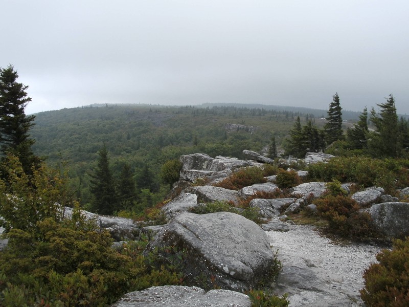 View from Bear Rocks looking at Blackbird Knob. (Photo by Steven Hart)