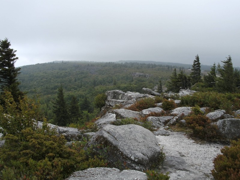 View from Bear Rocks looking at Blackbird Knob.  (Photo by Steven Hart)