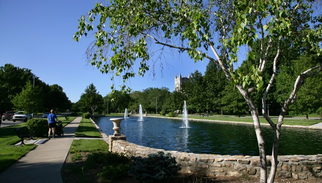 Water, Sky, Plant, Fountain