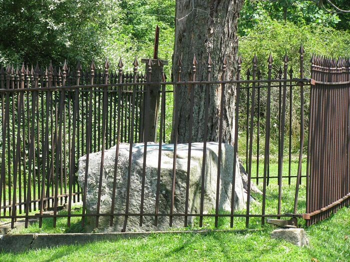 The Lee Tree where General Robert E Lee first saw his horse and set up camp for he and his Confederate Troops