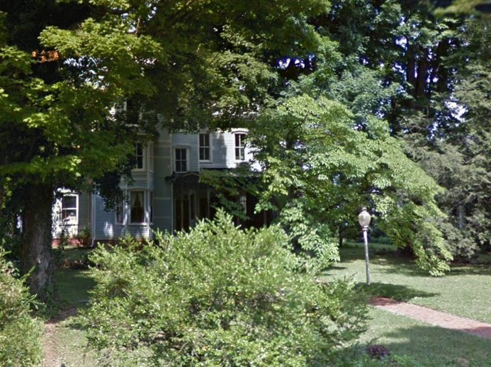 Plant, Building, Window, Tree