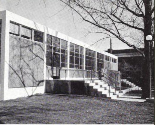 Building, tree, steps, grass, black and white photo