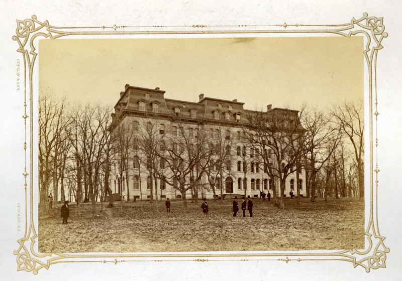 Building, Rectangle, Tree, Plant