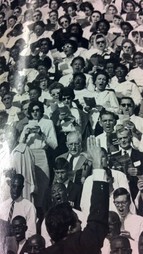 Image of the integrated crowd gathered at Legion Field