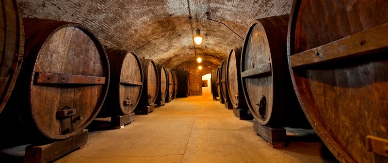Excavated by hand in the late 19th Century, the dimly lit cellars house over two hundred oak barrels and feature a crested vault containing some of the oldest vintages in America.