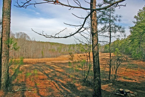 A modern photo of the area where the battle took place. 