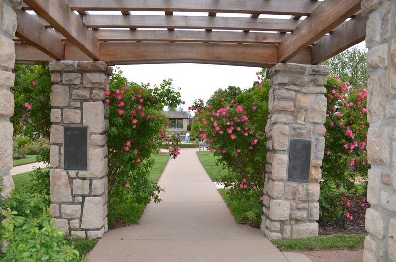 Flower, Plant, Botany, Building