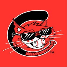 Charleston Alley Cats (1995-2004) Single A South Atlantic League
Affiliates of the Cincinnati Reds (1995- 98), Kansas City Royals (1999- 2000), Toronto Blue Jays (2001- 04).